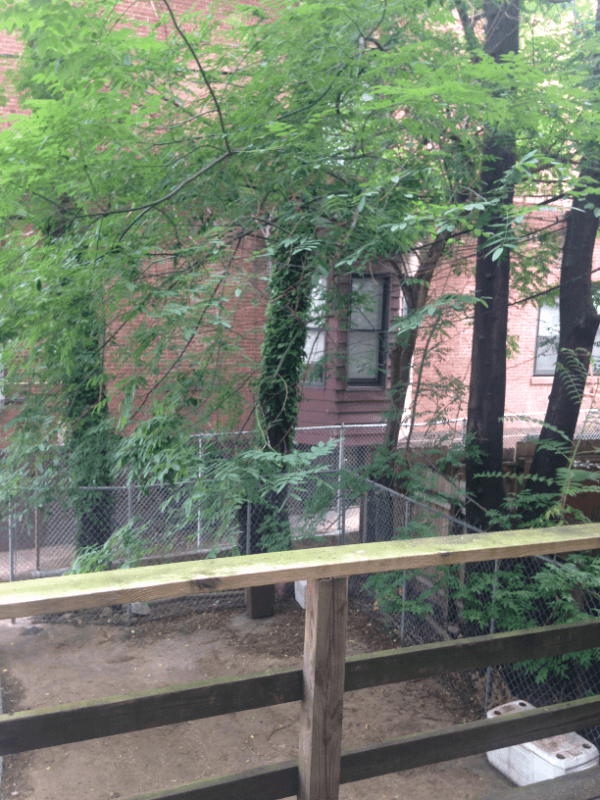 Baltimore Apartment: 32 E Preston St