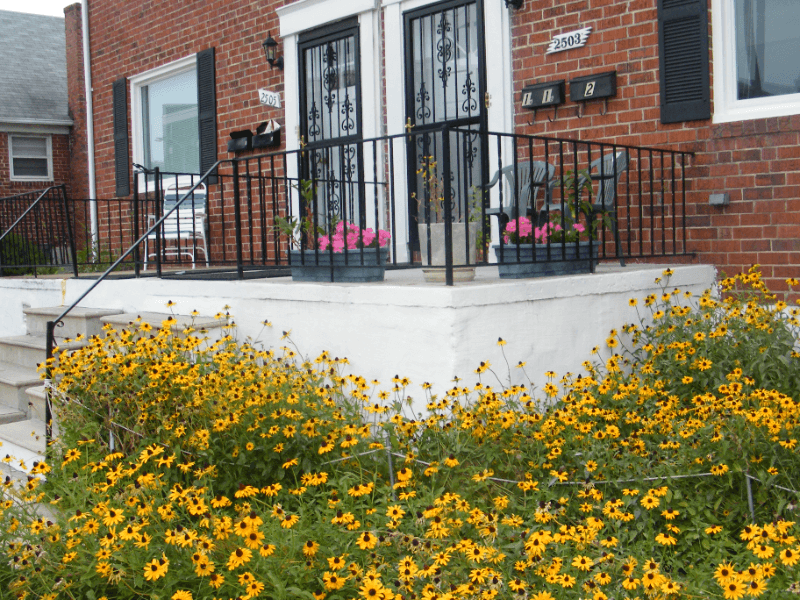 Baltimore House: 2503 E Northern Pkwy