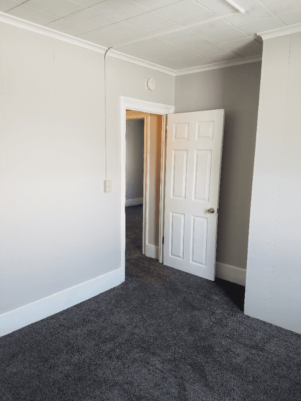 Lansing Apartment: 1135 S Grand Ave