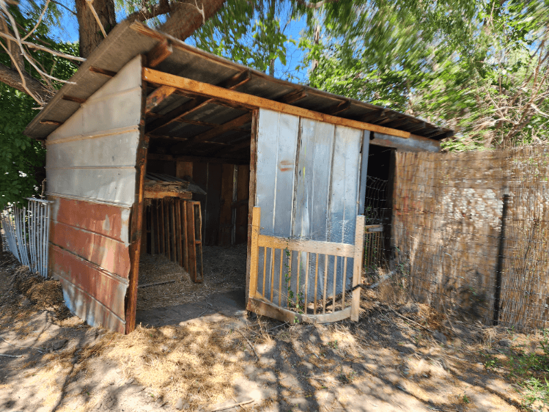 Clifton House: 646 Lois Street