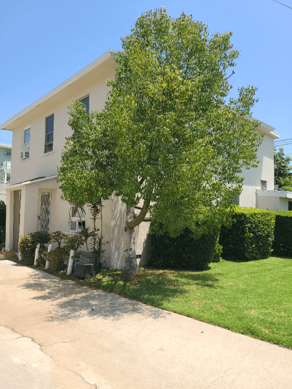 Pasadena Apartment: 695 Cordova St