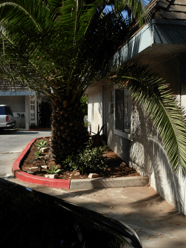 Costa Mesa Multiplex: 365 Victoria St