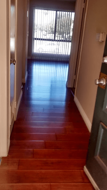 Van Nuys Apartment: 6910 Kester Ave