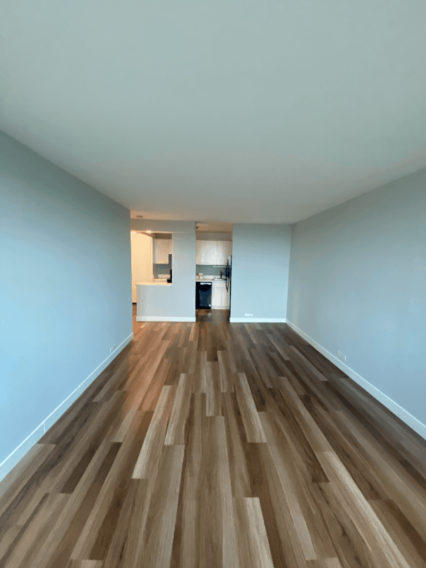 chicago Condo: 1110 S Michigan Ave