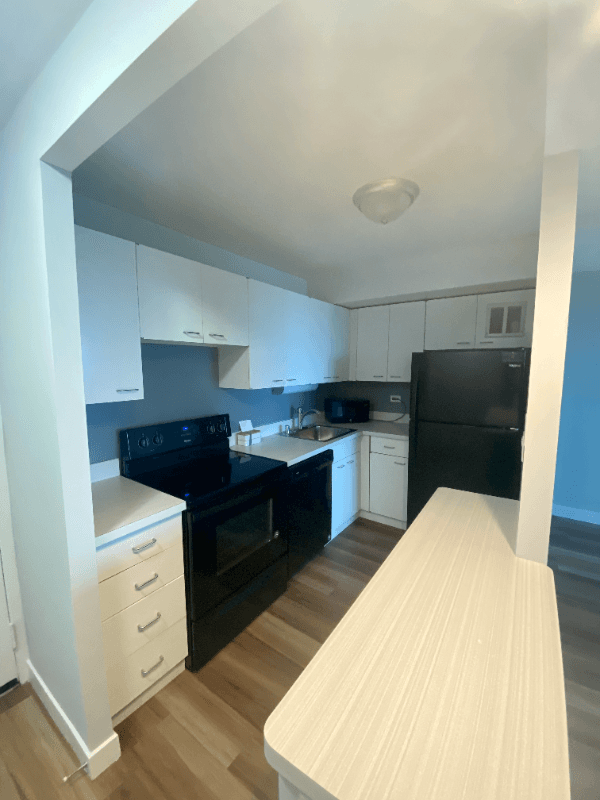 chicago Condo: 1110 S Michigan Ave