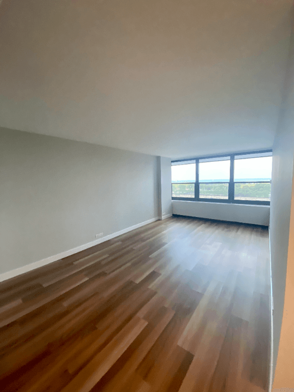 chicago Condo: 1110 S Michigan Ave