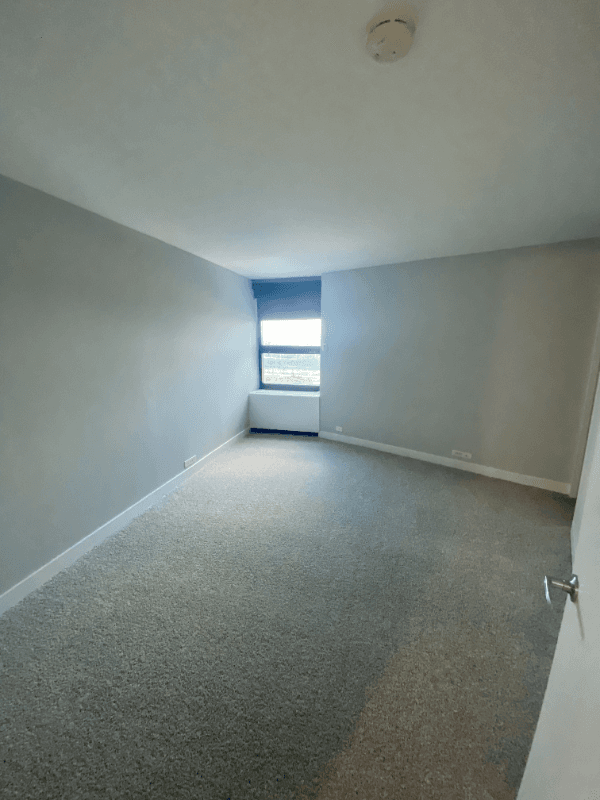 chicago Condo: 1110 S Michigan Ave