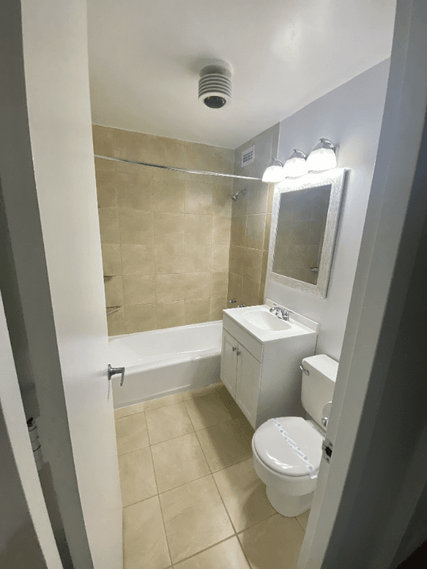 chicago Condo: 1110 S Michigan Ave