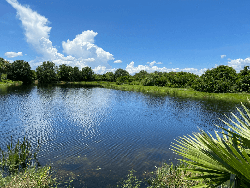 Riverview House: 6431 Cypressdale Drive