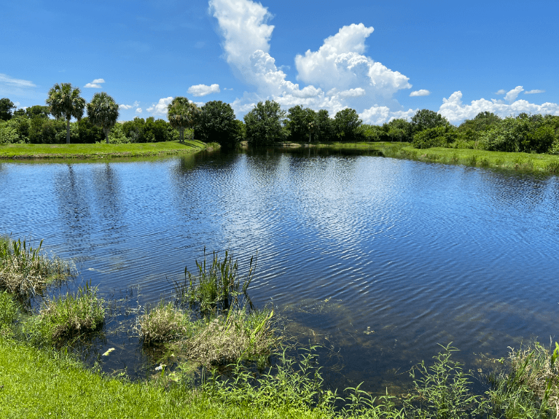 Riverview House: 6431 Cypressdale Drive