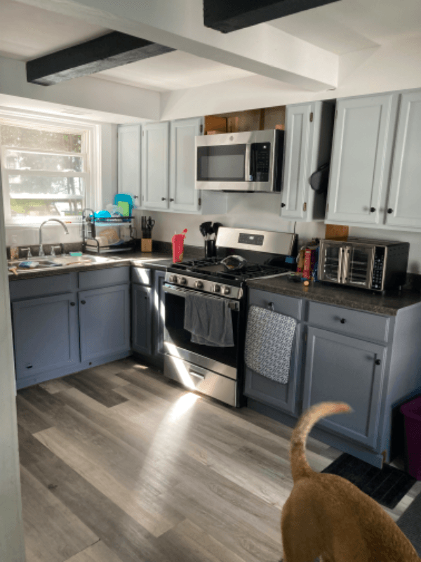 Potsdam House: 10 Bay St