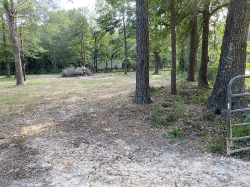Conroe House: 14628 Firetower Rd