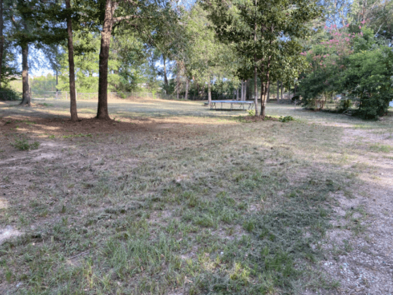 Conroe House: 14628 Firetower Rd