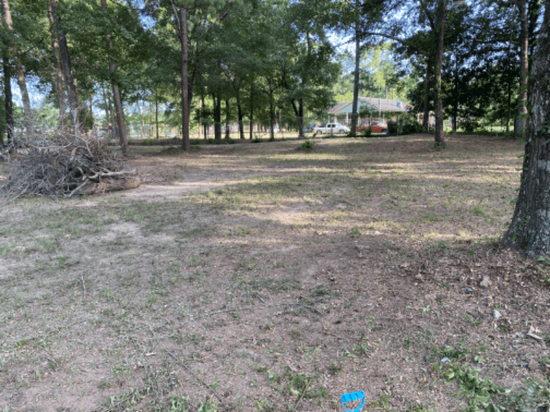 Conroe House: 14628 Firetower Rd