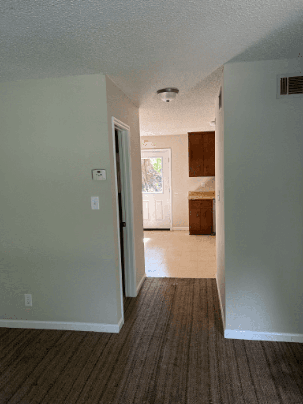 Toccoa Apartment: 137 Park St
