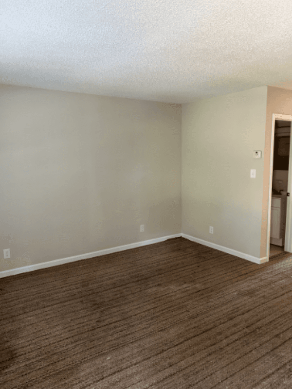 Toccoa Apartment: 137 Park St
