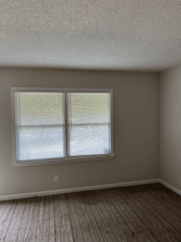 Toccoa Apartment: 137 Park St