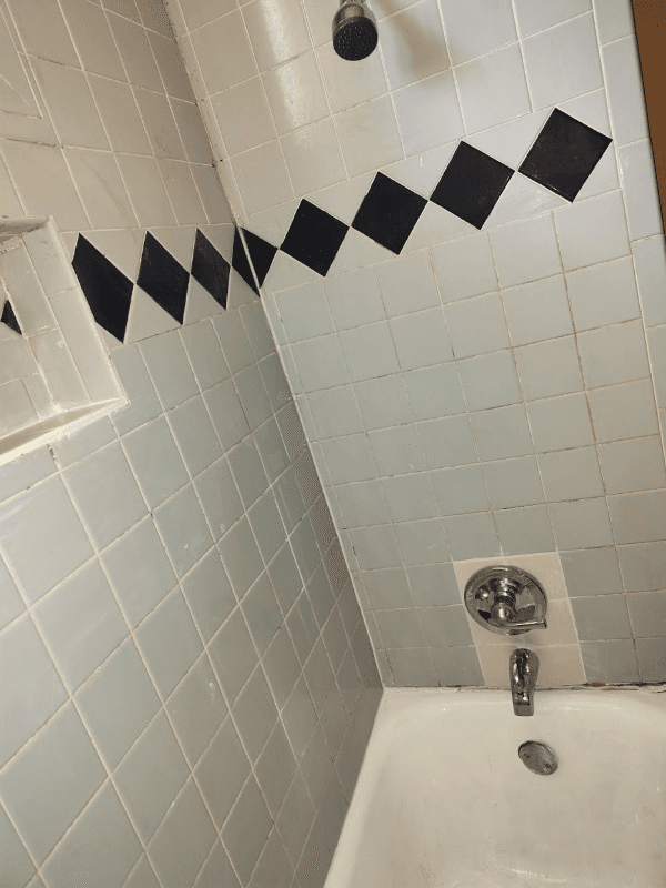 San Antonio Townhome: 926 E Drexel