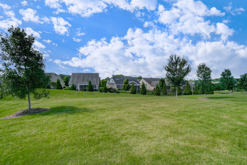 Belmont House: 125 Barberry Drive
