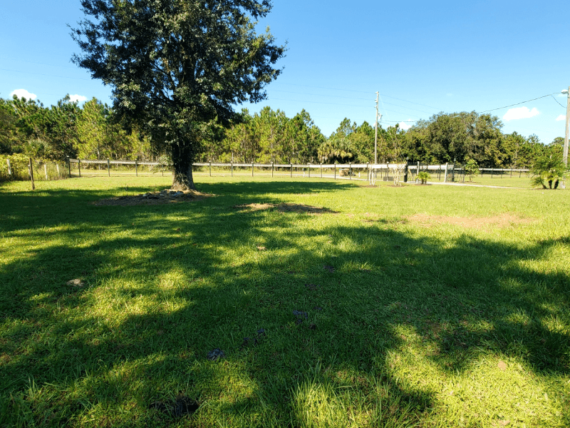 Kissimmee House: 2151 N Goodman Rd