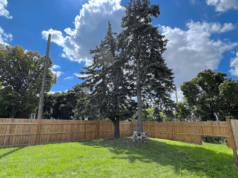 Detroit Condo: 5006 Seminole St