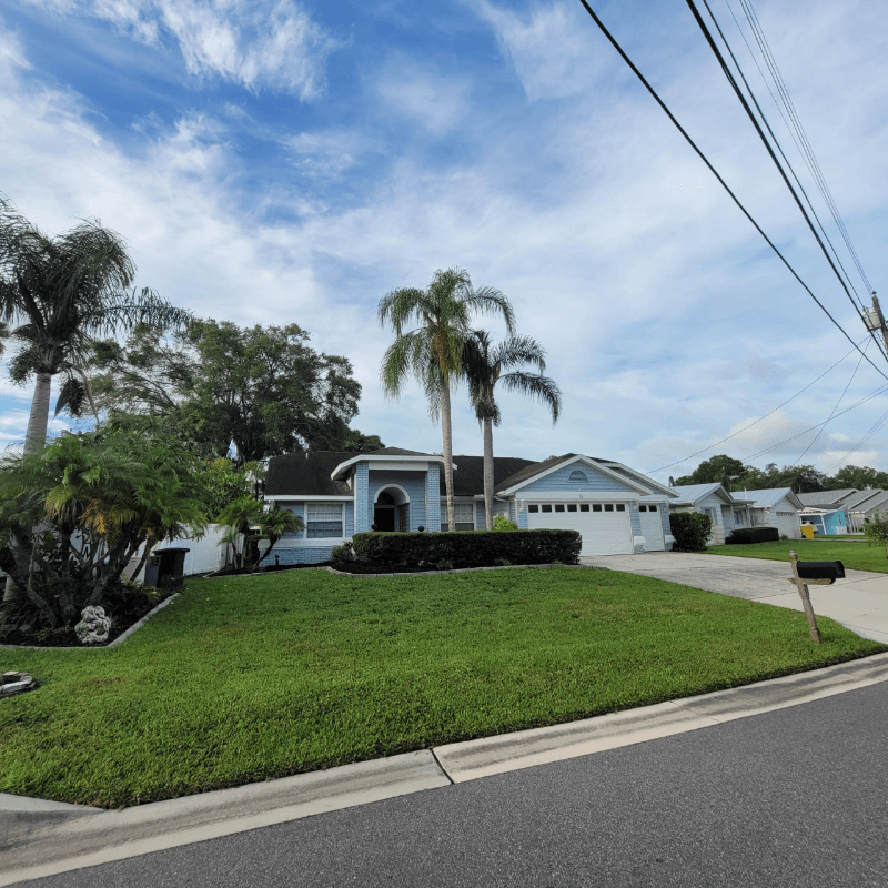Palm Harbor House: 16 Citrus Drive