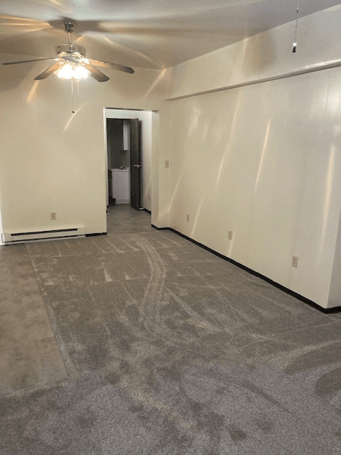 Butler House: 105 Chicora Rd