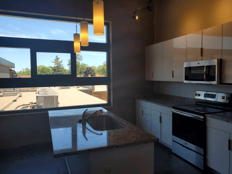 Detroit Apartment: 19031 Livernois