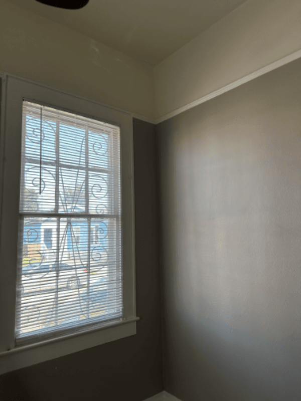 New Orleans Townhome: 922 N Roman St