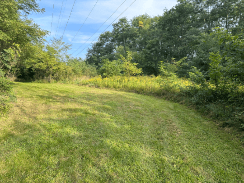 Tecumseh House: 6842 Rogers Highway