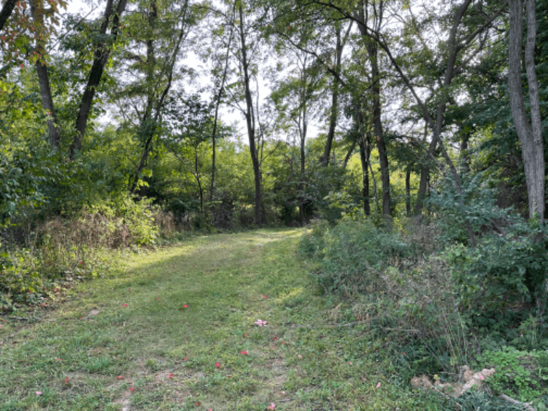 Tecumseh House: 6842 Rogers Highway