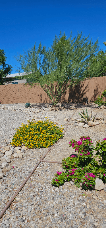 Desert Hot Springs Multiplex: 61500 Bandera St