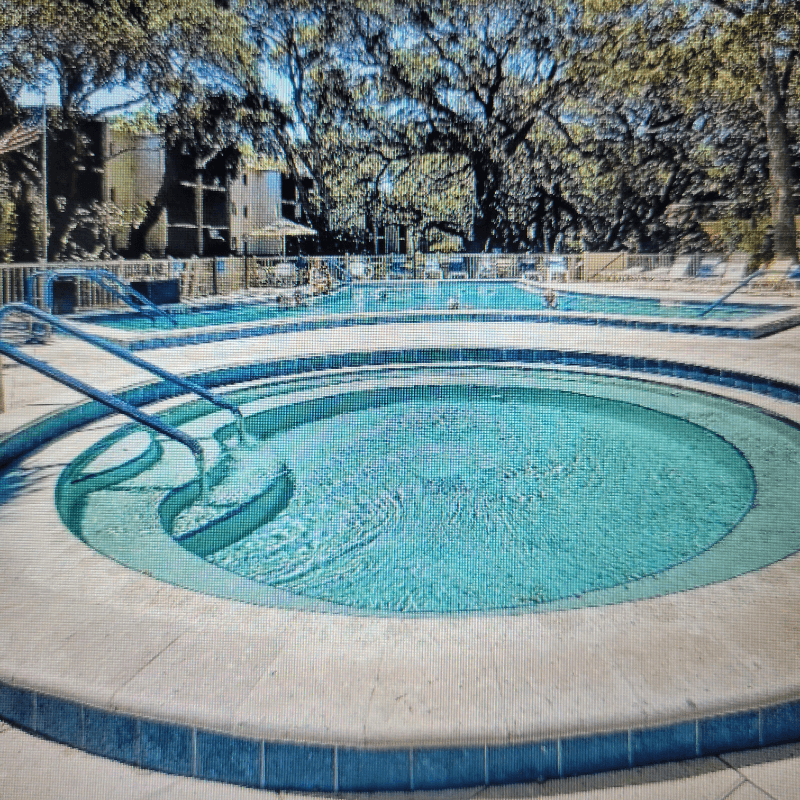 Dunedin Condo: 865 Virginia Court