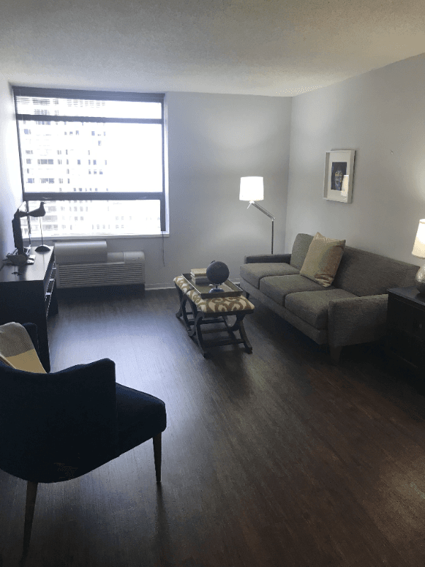 Chicago Condo: 440 e ohio