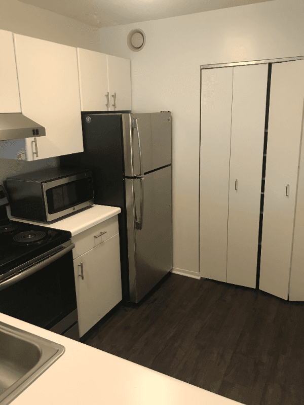 Chicago Condo: 440 e ohio
