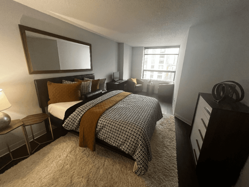 Chicago Condo: 440 e ohio