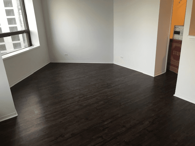 chicago Condo: 440 e ohio