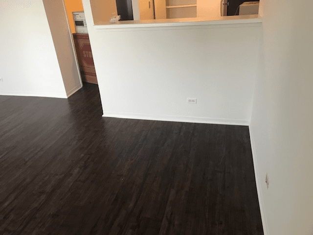 chicago Condo: 440 e ohio