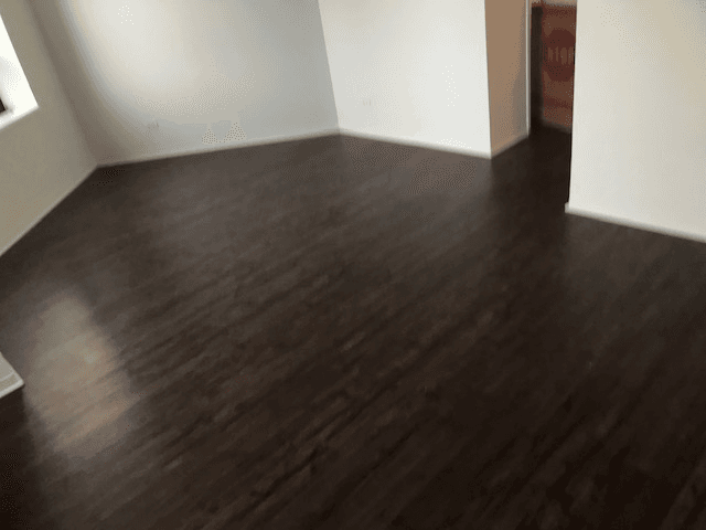 chicago Condo: 440 e ohio