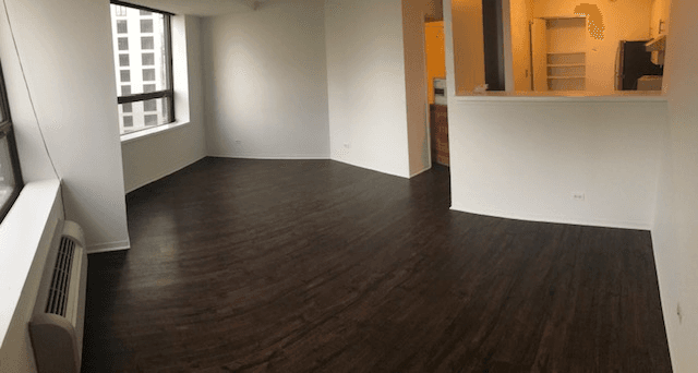 chicago Condo: 440 e ohio
