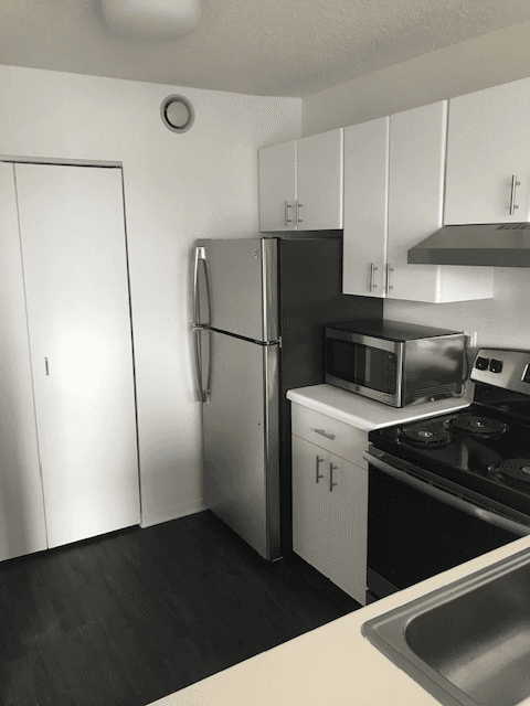 chicago Condo: 440 e ohio