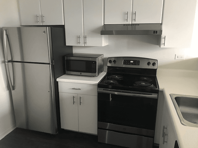Chicago Condo: 440 e ohio