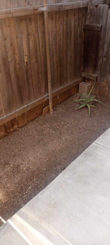 El Cajon Apartment: 1141 Persimmon Ave