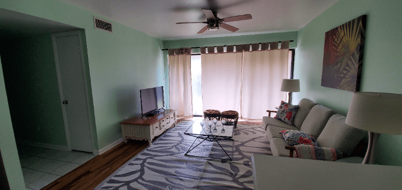 St Petersburg Condo: 885 N village drive