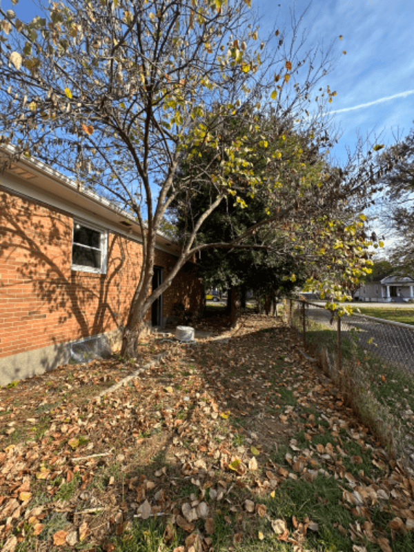 louisville House: 816 french avenue