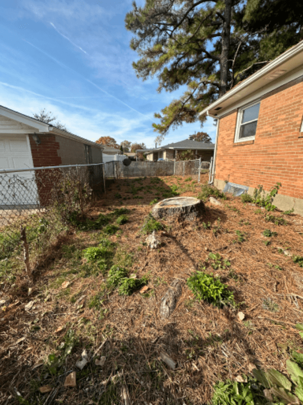 louisville House: 816 french avenue
