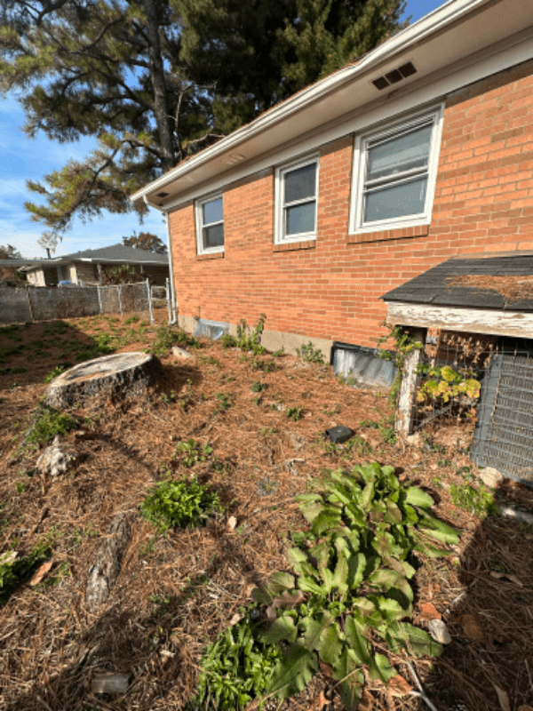 louisville House: 816 french avenue