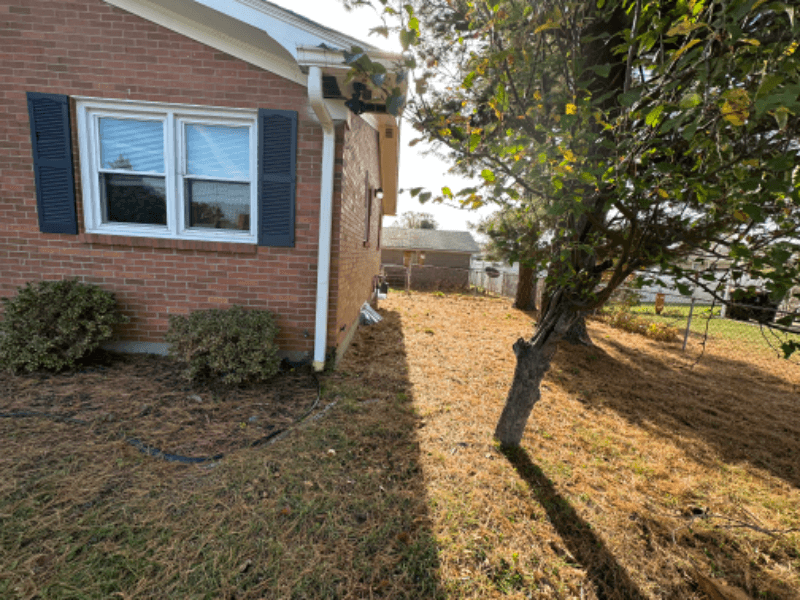 louisville House: 816 french avenue