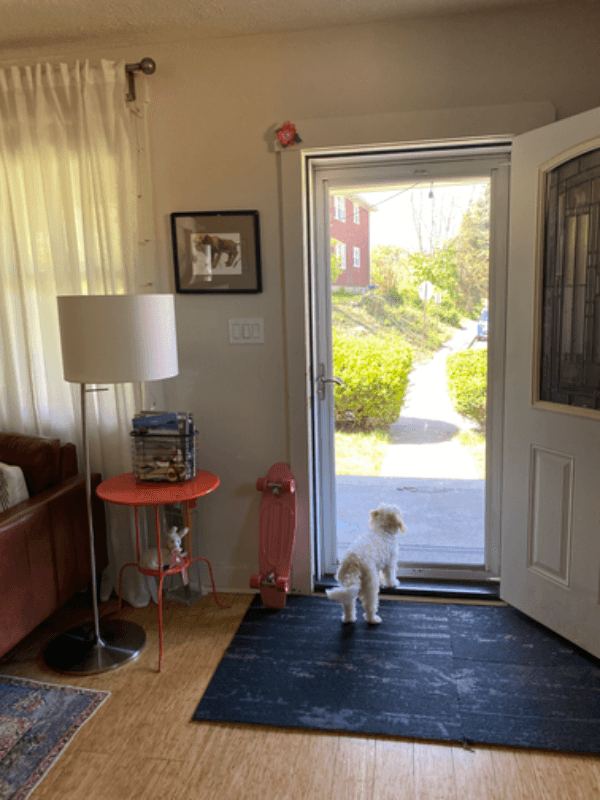 Pittsburgh House: 32 Ralston Pl