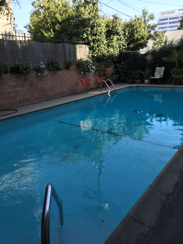 Los Angeles Apartment: 1760 N El Cerrito Pl